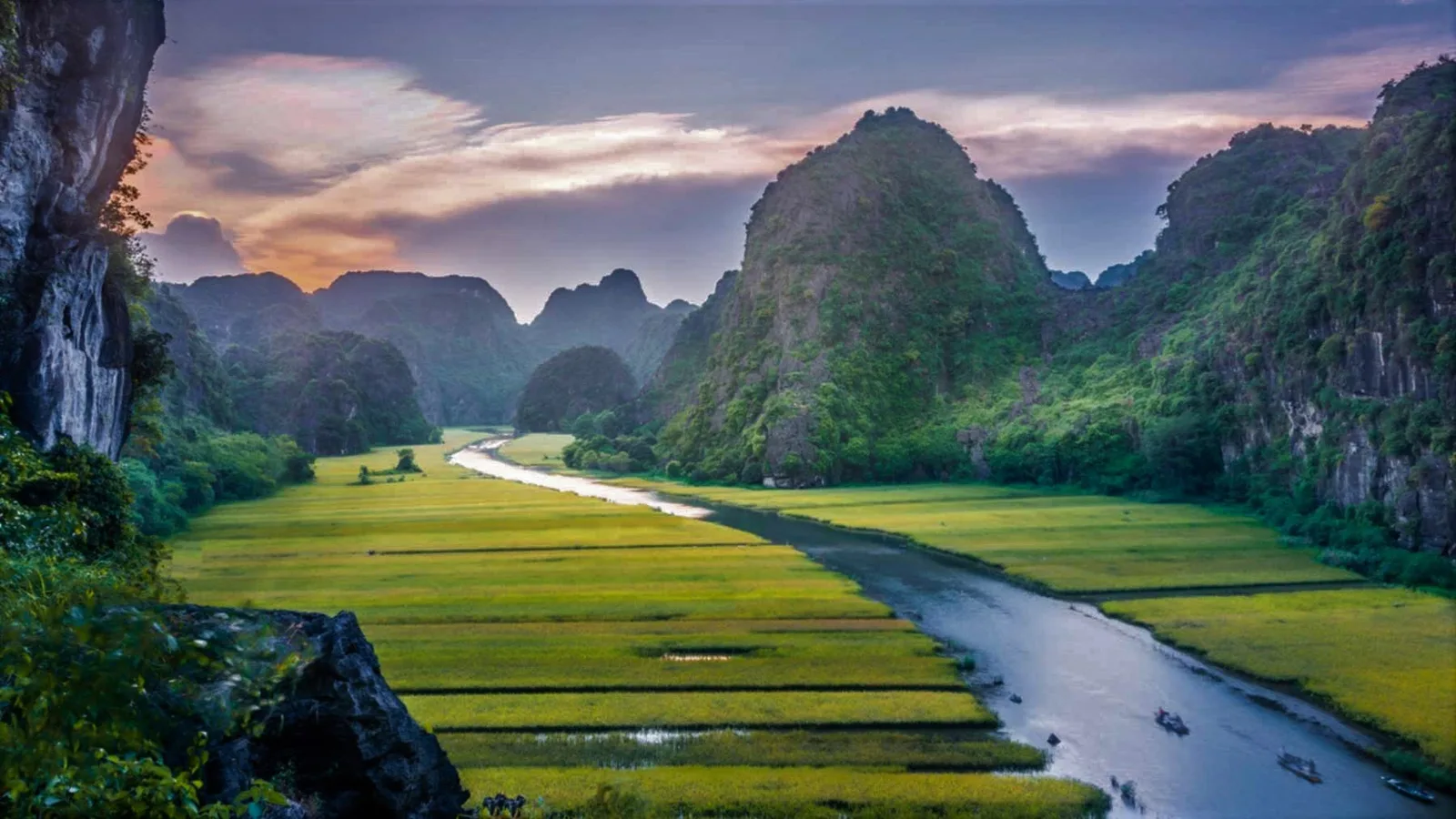 Tam Coc river through golden rice fields, Vietnam