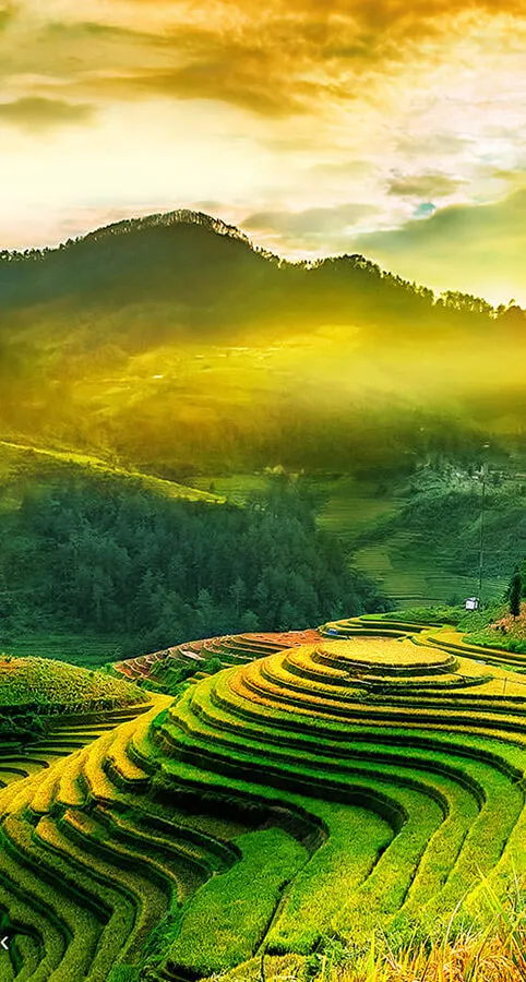 Sustainability